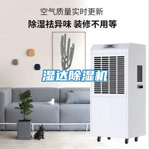 湿达91免费网站在线观看