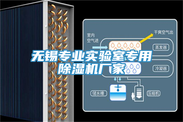 无锡专业实验室专用91免费网站在线观看厂家