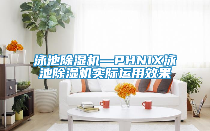 泳池91免费网站在线观看—PHNIX泳池91免费网站在线观看实际运用效果