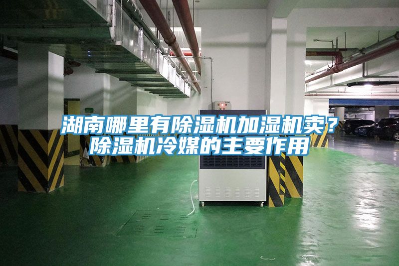 湖南哪里有91免费网站在线观看加湿机卖？91免费网站在线观看冷媒的主要作用