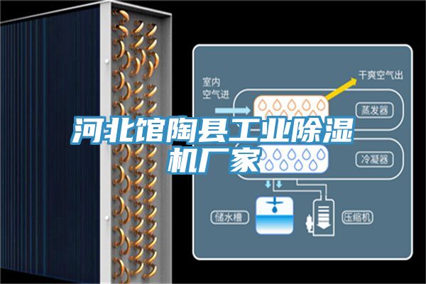 河北馆陶县工业91免费网站在线观看厂家