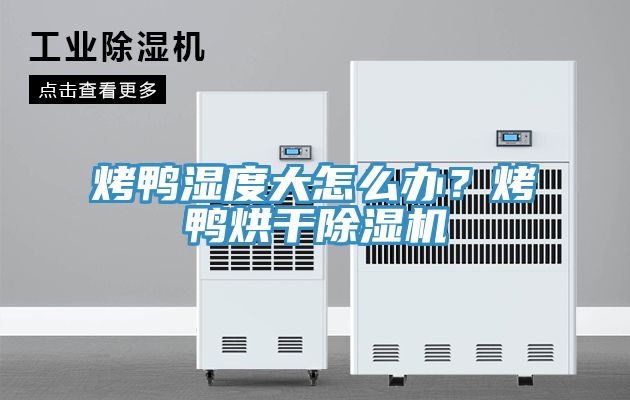 烤鸭湿度大怎么办？烤鸭烘干91免费网站在线观看