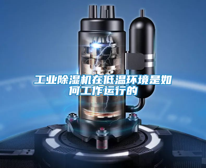 工业91免费网站在线观看在低温环境是如何工作运行的