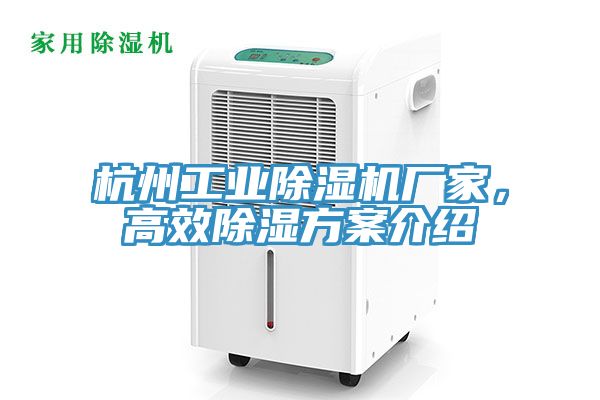 杭州工业91免费网站在线观看厂家，高效除湿方案介绍