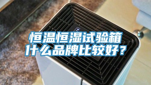 恒温恒湿试验箱什么品牌比较好？