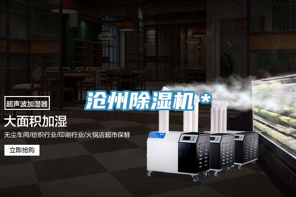 沧州91免费网站在线观看＊
