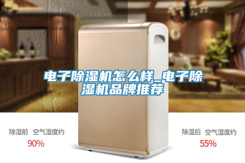 电子91免费网站在线观看怎么样_电子91免费网站在线观看品牌推荐