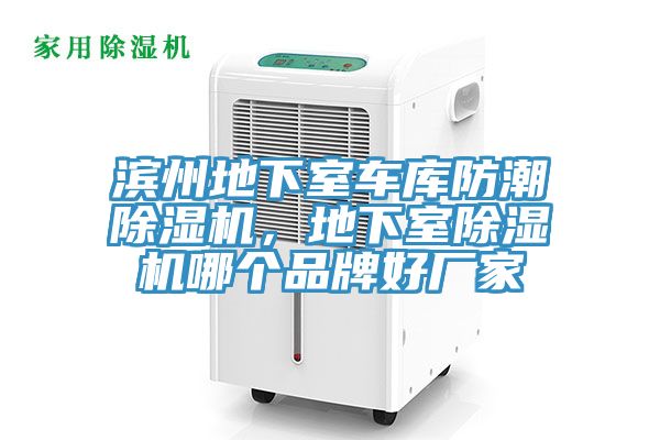 滨州地下室车库防潮91免费网站在线观看，地下室91免费网站在线观看哪个品牌好厂家