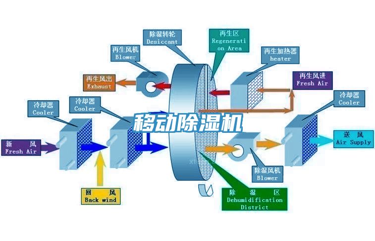 移动91免费网站在线观看