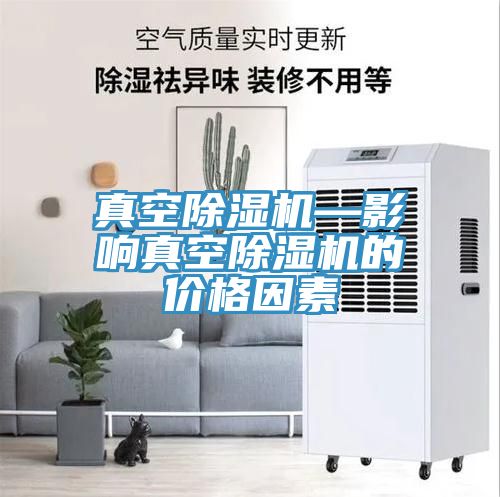 真空91免费网站在线观看—影响真空91免费网站在线观看的价格因素
