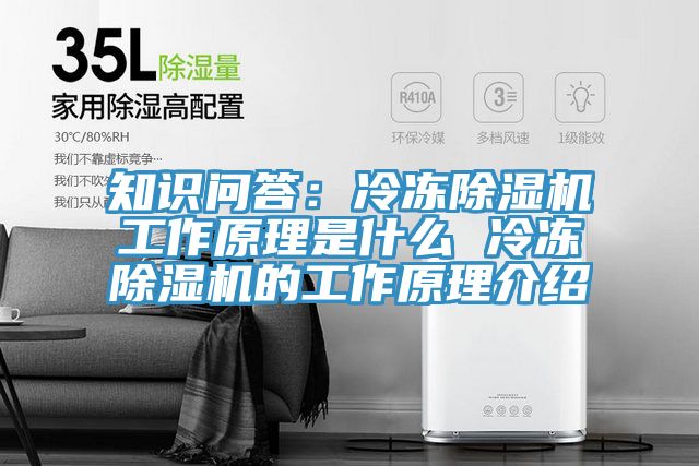 知识问答：冷冻91免费网站在线观看工作原理是什么 冷冻91免费网站在线观看的工作原理介绍