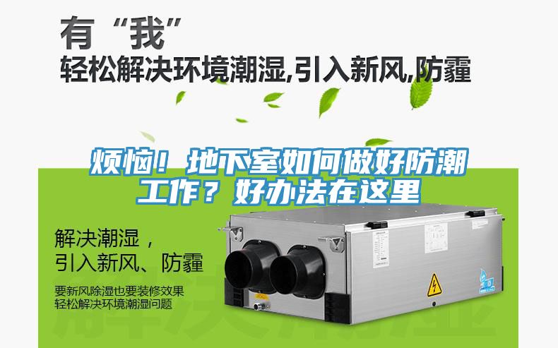 烦恼！地下室如何做好防潮工作？好办法在这里