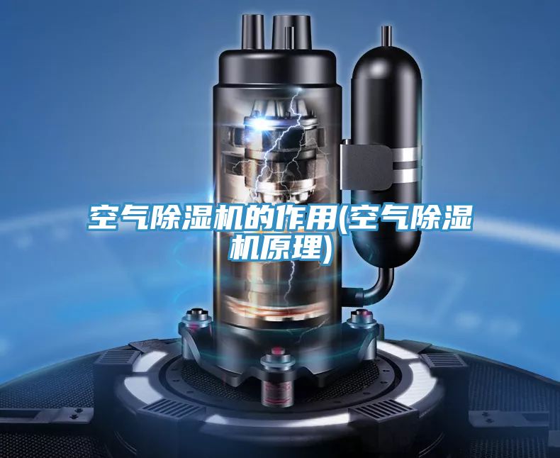 空气91免费网站在线观看的作用(空气91免费网站在线观看原理)