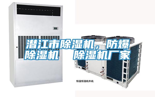 潜江市91免费网站在线观看，防爆91免费网站在线观看  91免费网站在线观看厂家