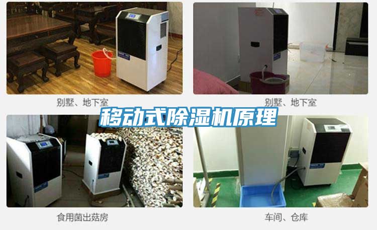 移动式91免费网站在线观看原理