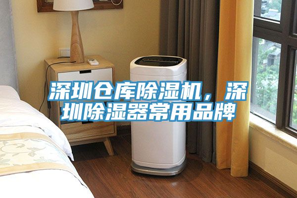 深圳仓库91免费网站在线观看，深圳除湿器常用品牌