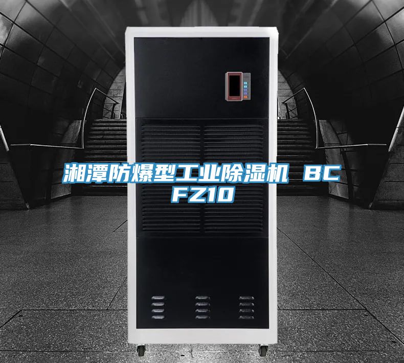 湘潭防爆型工业91免费网站在线观看 BCFZ10