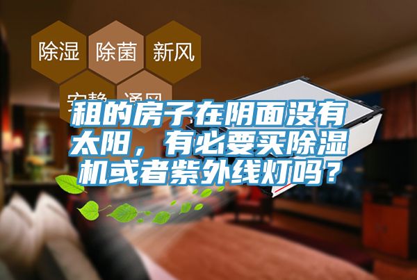 租的房子在阴面没有太阳，有必要买91免费网站在线观看或者紫外线灯吗？