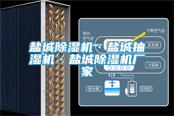 盐城91免费网站在线观看·盐城抽湿机·盐城91免费网站在线观看厂家