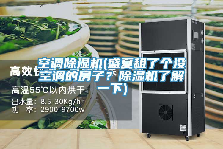 空调91免费网站在线观看(盛夏租了个没空调的房子？91免费网站在线观看了解一下)
