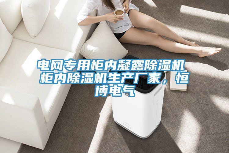 电网专用柜内凝露91免费网站在线观看 柜内91免费网站在线观看生产厂家，恒博电气