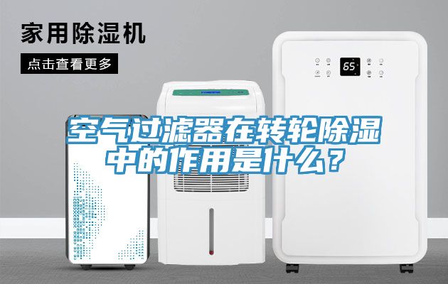 空气过滤器在转轮除湿中的作用是什么？