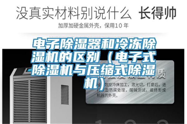 电子除湿器和冷冻91免费网站在线观看的区别（电子式91免费网站在线观看与压缩式91免费网站在线观看）