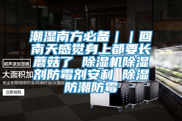 潮湿南方必备｜｜回南天感觉身上都要长蘑菇了 91免费网站在线观看除湿剂防霉剂安利 除湿防潮防霉