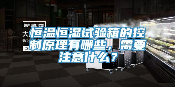 恒温恒湿试验箱的控制原理有哪些，需要注意什么？