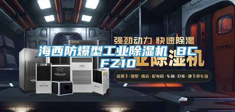 海西防爆型工业91免费网站在线观看 BCFZ10