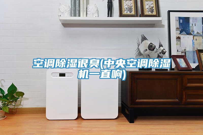 空调除湿很臭(中央空调91免费网站在线观看一直响)