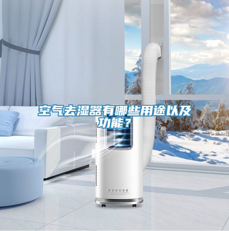 空气去湿器有哪些用途以及功能？