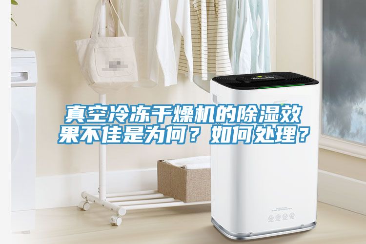 真空冷冻干燥机的除湿效果不佳是为何？如何处理？