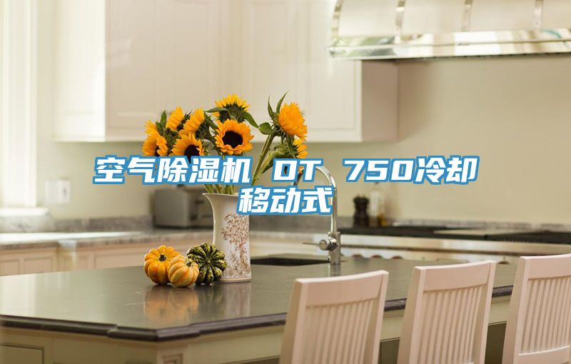 空气91免费网站在线观看 DT 750冷却移动式