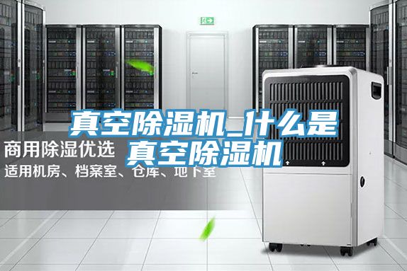 真空91免费网站在线观看_什么是真空91免费网站在线观看
