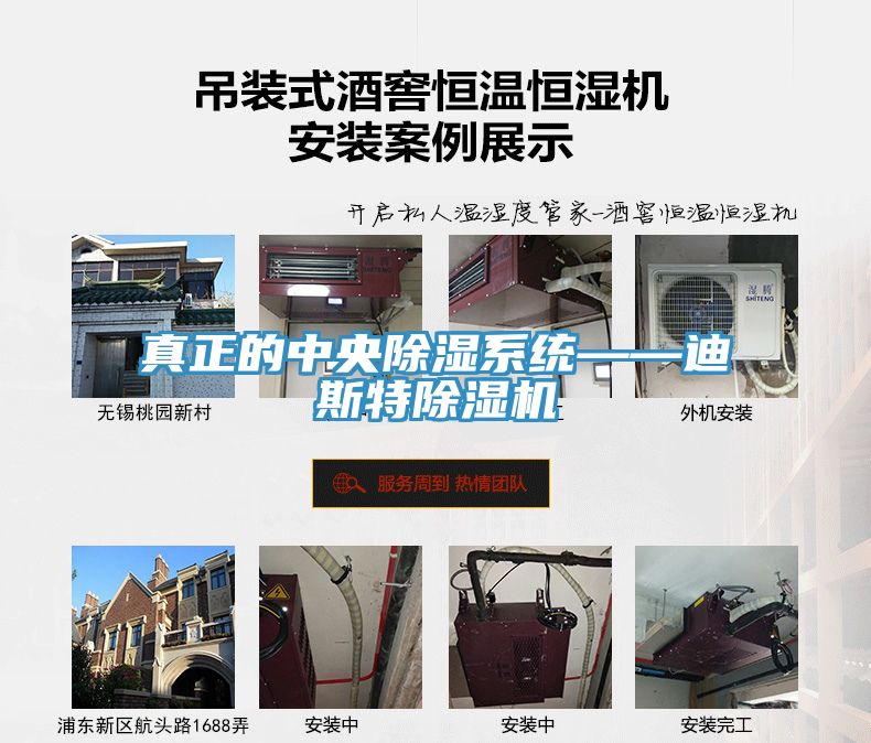 真正的中央除湿系统——迪斯特91免费网站在线观看