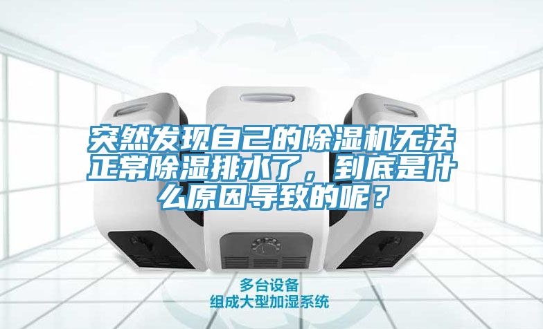 突然发现自己的91免费网站在线观看无法正常除湿排水了，到底是什么原因导致的呢？