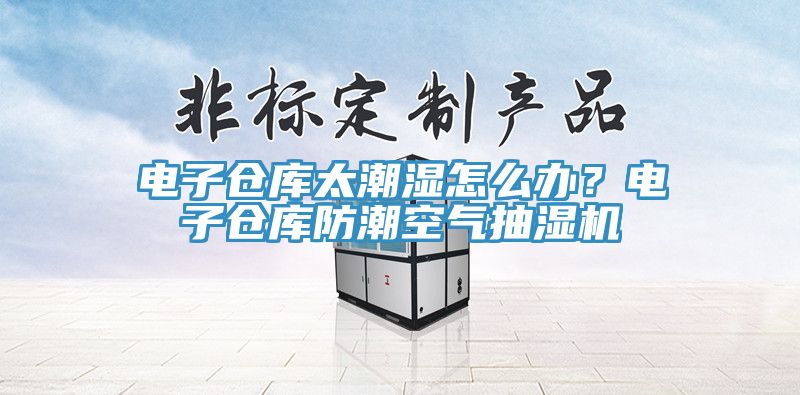 电子仓库太潮湿怎么办？电子仓库防潮空气抽湿机