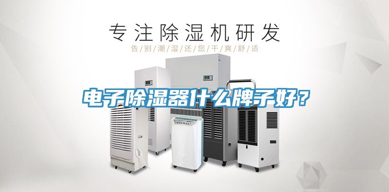 电子除湿器什么牌子好？