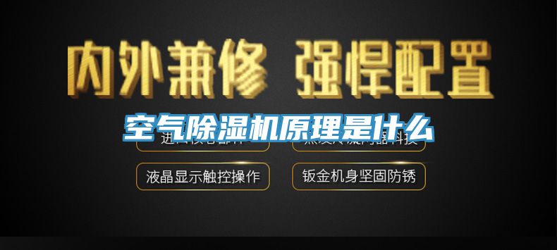 空气91免费网站在线观看原理是什么