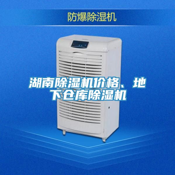 湖南91免费网站在线观看价格、地下仓库91免费网站在线观看