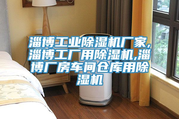 淄博工业91免费网站在线观看厂家,淄博工厂用91免费网站在线观看,淄博厂房车间仓库用91免费网站在线观看