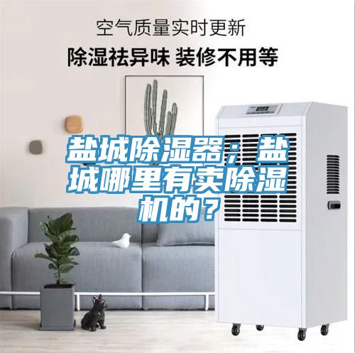盐城除湿器；盐城哪里有卖91免费网站在线观看的？