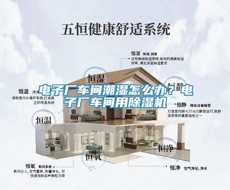 电子厂车间潮湿怎么办？电子厂车间用91免费网站在线观看