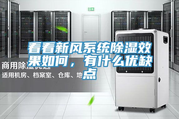 看看新风系统除湿效果如何，有什么优缺点