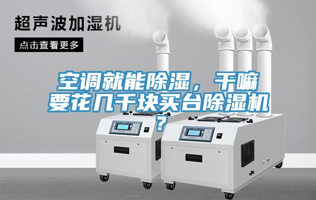 空调就能除湿，干嘛要花几千块买台91免费网站在线观看？