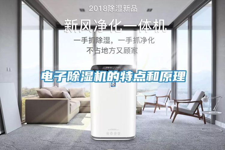 电子91免费网站在线观看的特点和原理