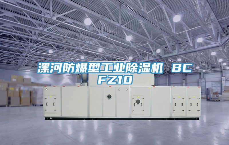 漯河防爆型工业91免费网站在线观看 BCFZ10