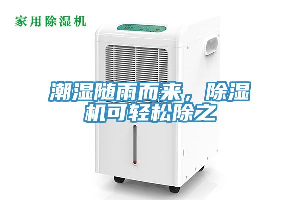 潮湿随雨而来，91免费网站在线观看可轻松除之