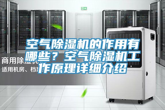 空气91免费网站在线观看的作用有哪些？空气91免费网站在线观看工作原理详细介绍